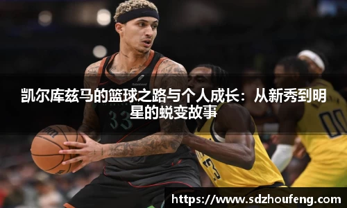 bsports官网入口
